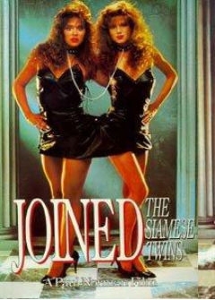 Близнецы (1989)