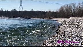 La primavera sta arrivando e le voglie si risvegliano