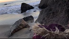 Raw amateur sex on the beach at sunset - Erin Electra