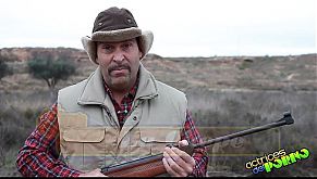 PIMP MY BITCH El Bicho Chepao