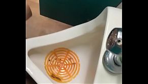 Bailey wilder public toilet