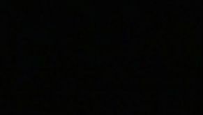 selen rocco puledra in calore