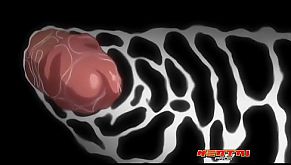 College Princess 3 - Episode 2 - Hentai Pros